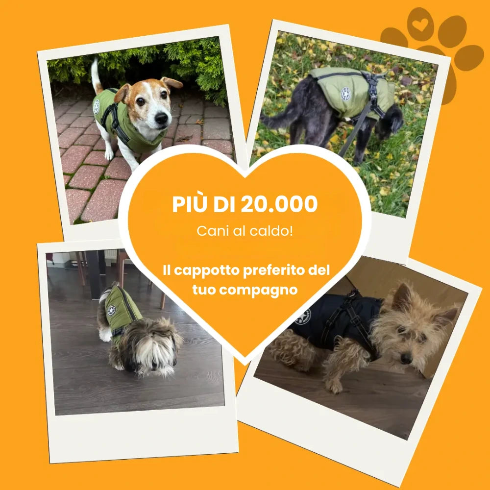 Cappotto invernale 3 in 1